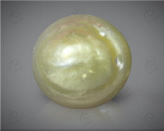 Pearl / Moti (South Sea) Certified 7.6 carats -90290